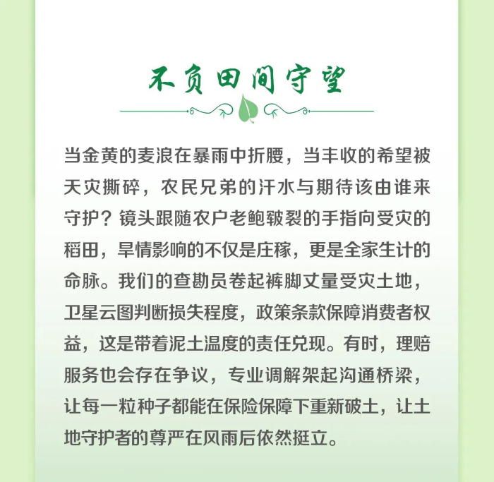 2不负田间守望